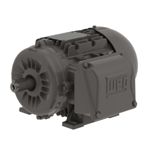 Motor  3F 0.5 HP, 230/460 V  60 Hz.3600 rpm.